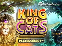 RTP BTG King of Cats